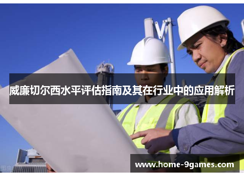 威廉切尔西水平评估指南及其在行业中的应用解析